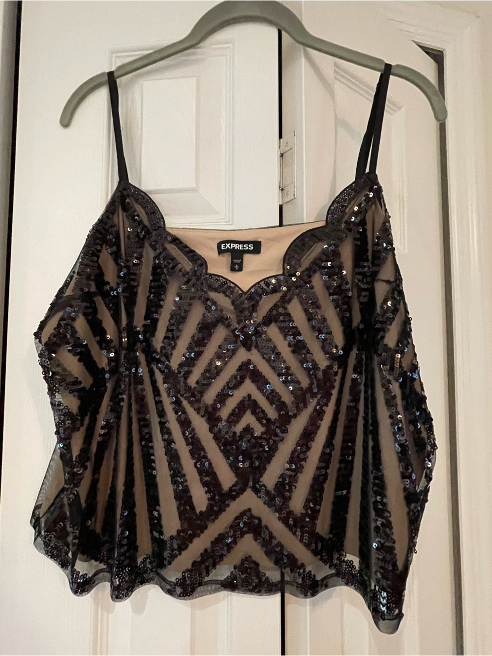 Express Black Sequin Mesh Camisole Top